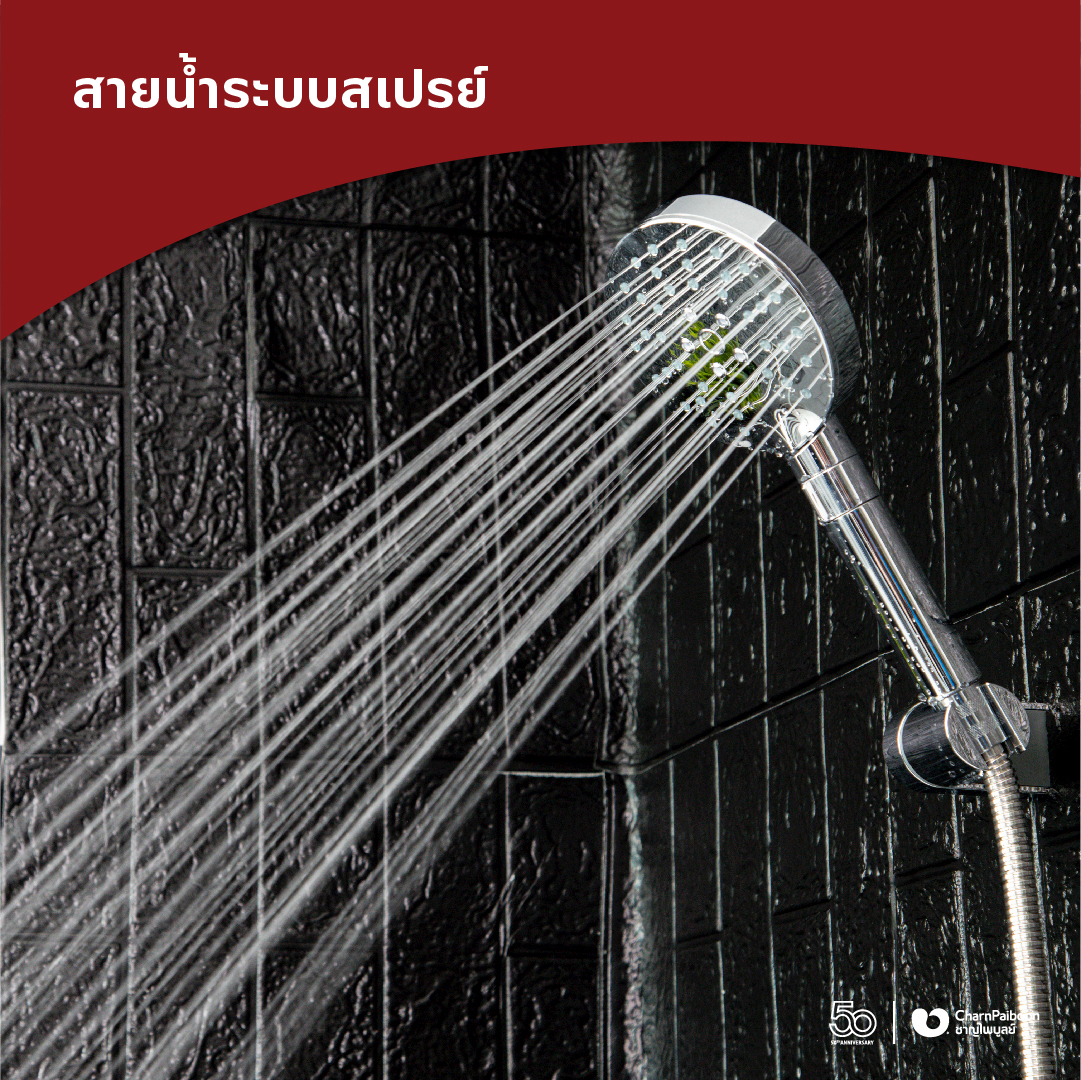 RA-D412-click-premium-handshower