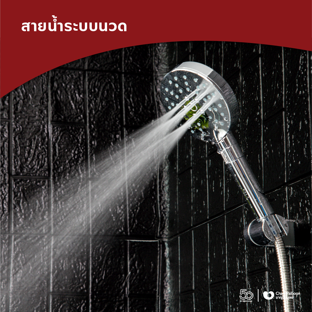 RA-D412-click-premium-handshower