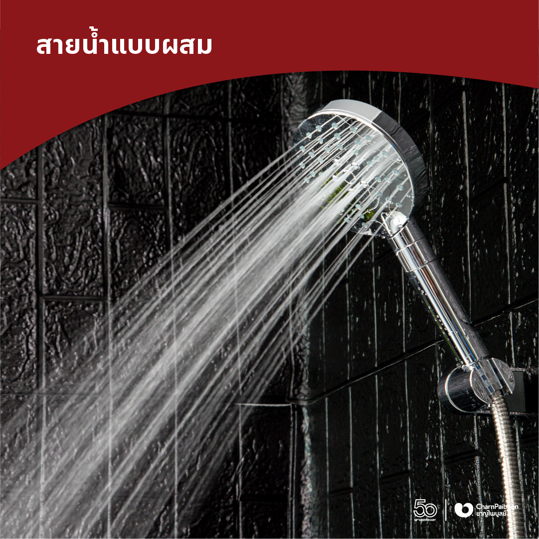 RA-D412-click-premium-handshower