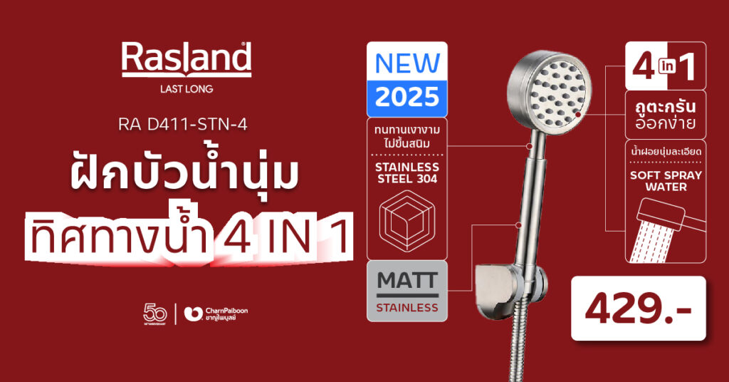 RA-D411-STN-4-handshower