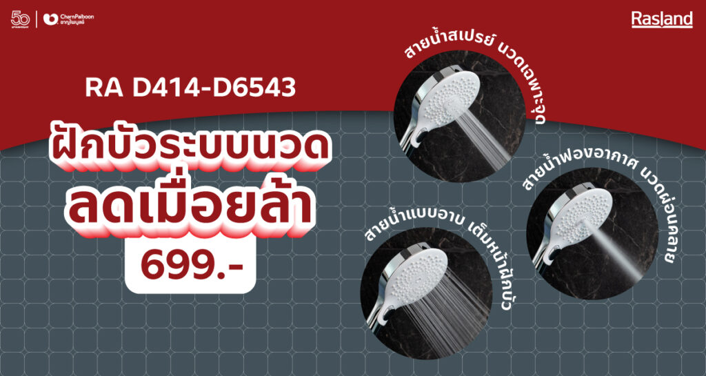 RA-D414-D6543-massage-headshower