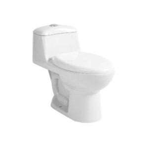 ชักโครกชิ้นเดียว