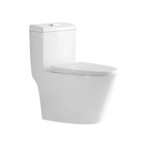 สุขภัณฑ์ชิ้นเดียว